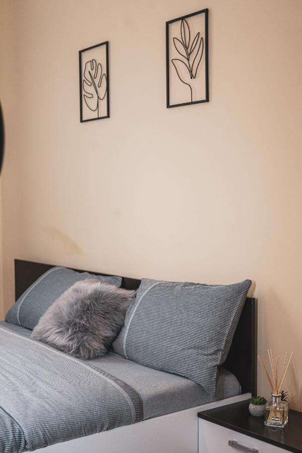 Central And Modern Apartment With Free Parking Timișoara Zewnętrze zdjęcie